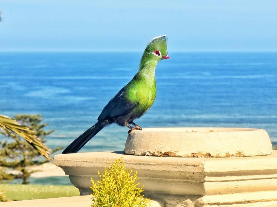 Livingstone Villa Wildernis Eksteriør billede