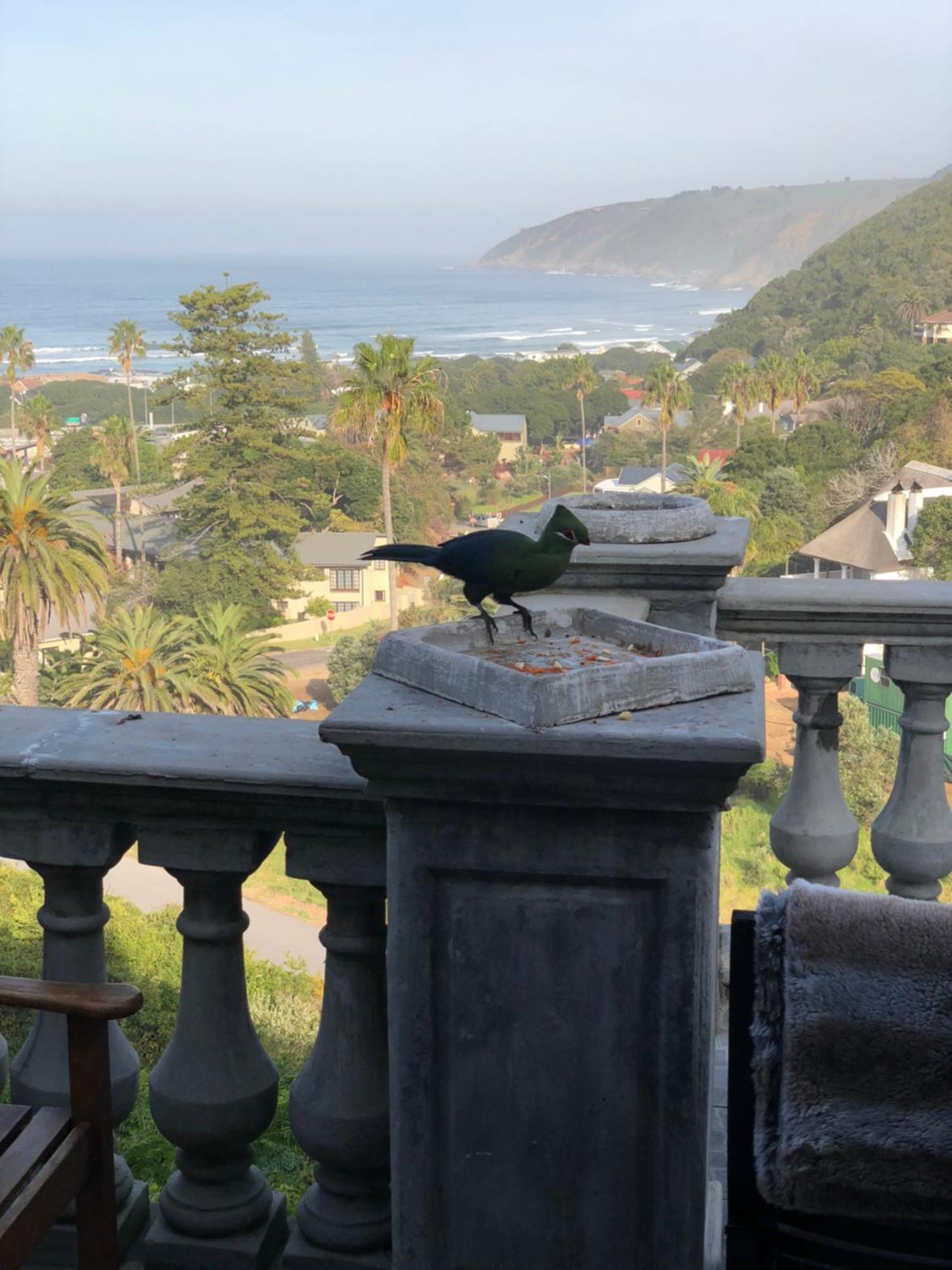 Livingstone Villa Wildernis Eksteriør billede