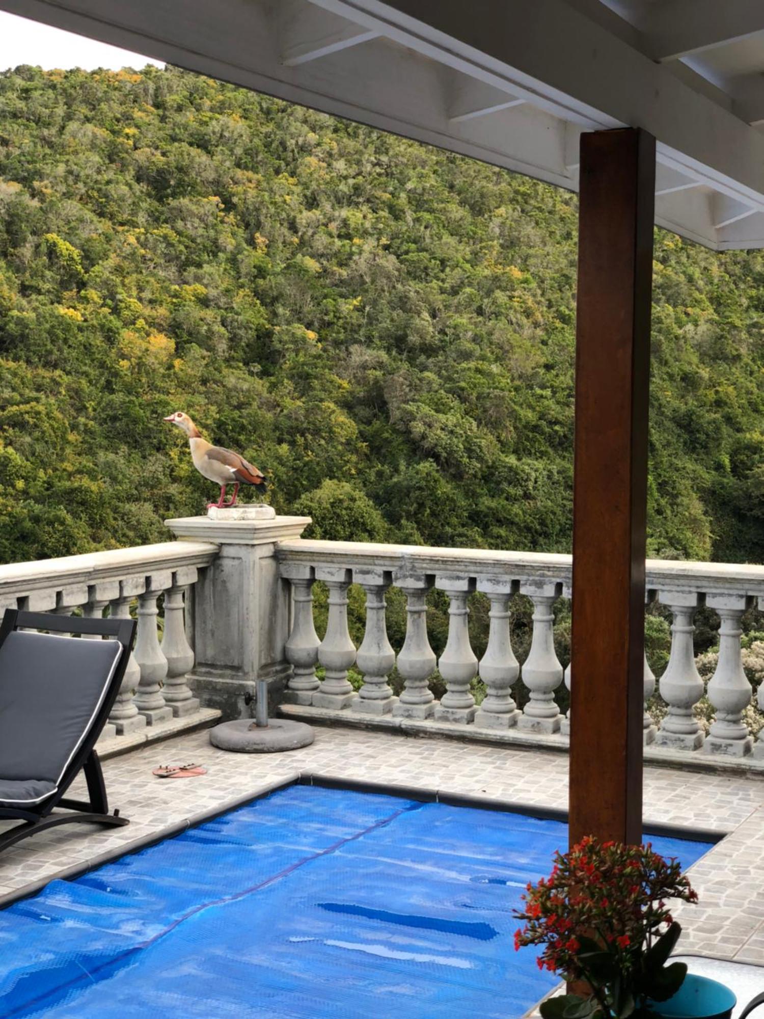 Livingstone Villa Wildernis Eksteriør billede